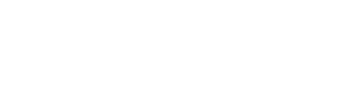 Liqiang Intelligent white logo